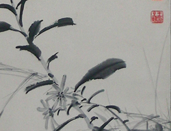 1963春.山菊蝶图