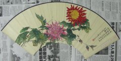 1955年《菊花》